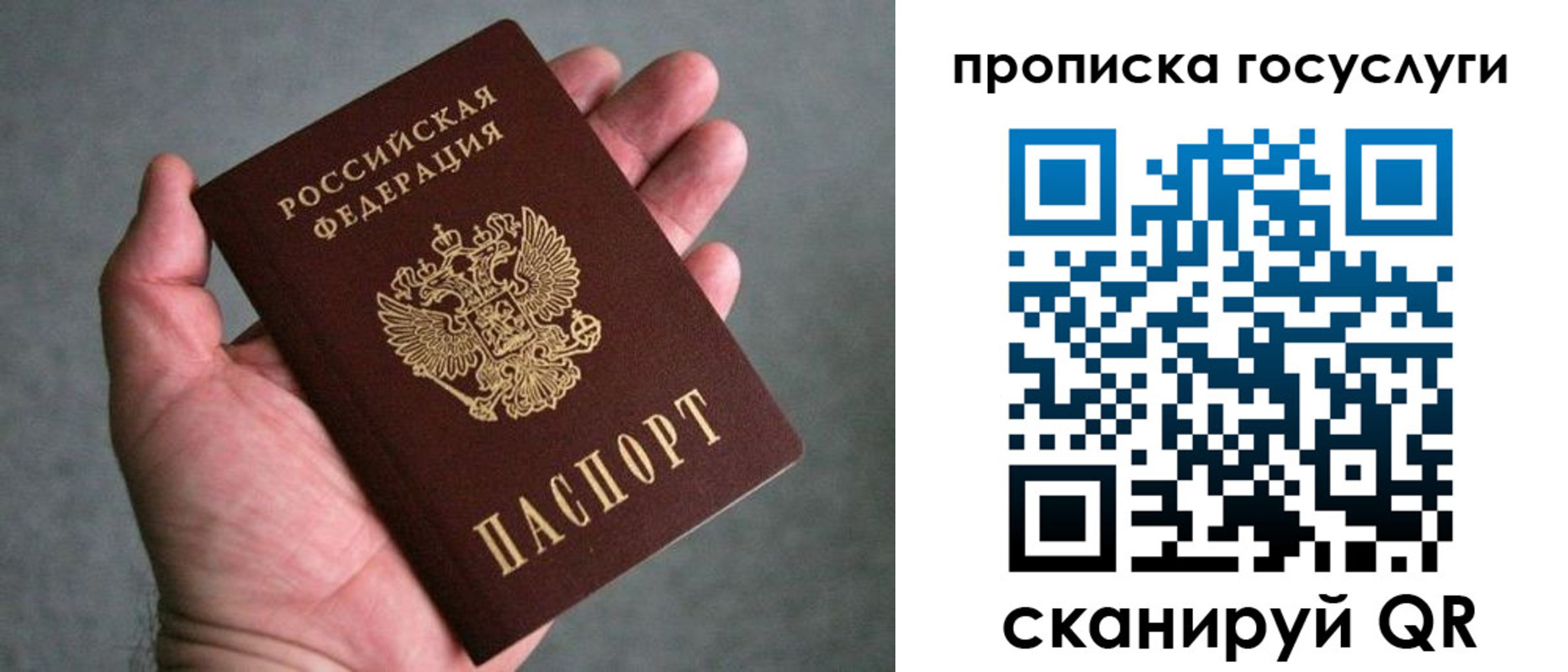 прописка 2025 в Волхове